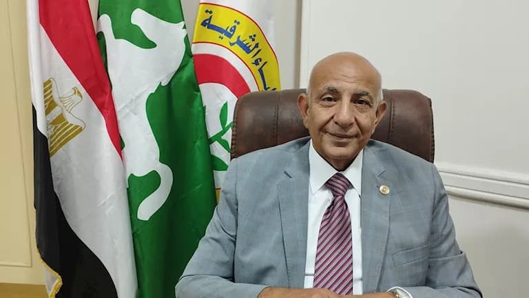 Eastern Doctors Syndicate criticizes Qena governor over hospital dismissal