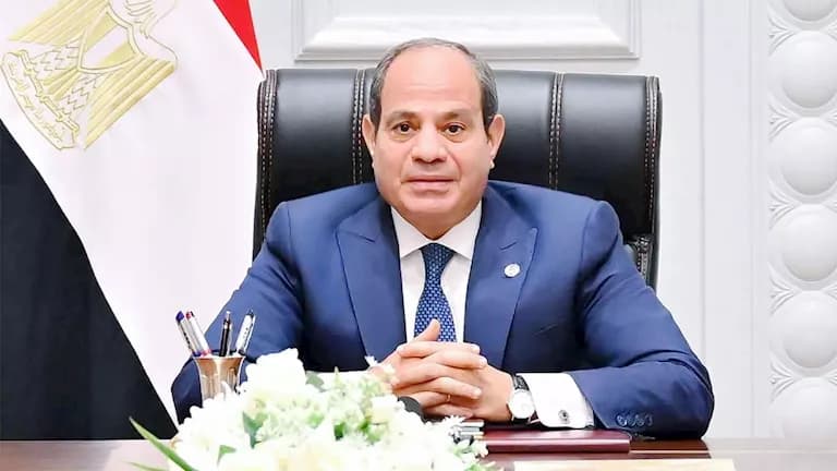 Full Law on Future Egypt Authority