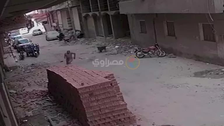 Dakahlia building collapse rescue and evacuation