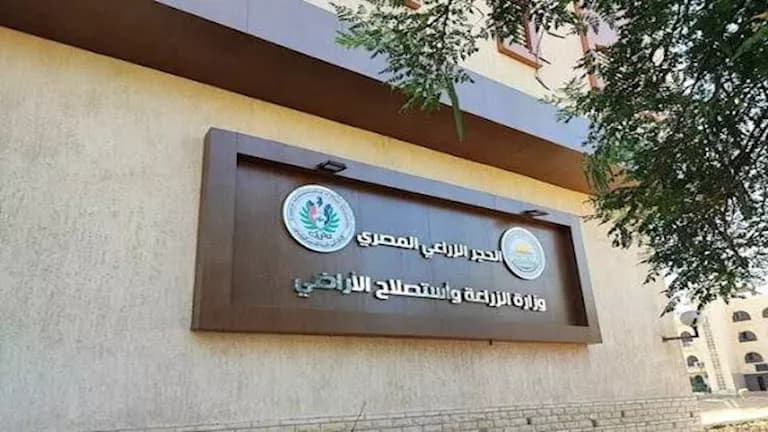 Agriculture Implements Electronic Payments for Phytosanitary Services