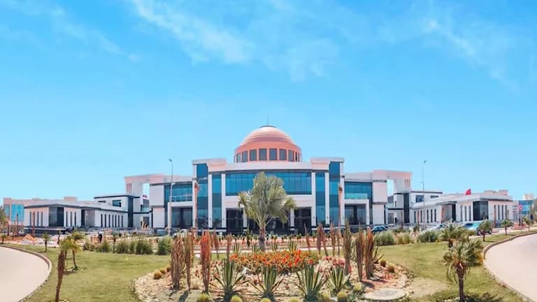 هل جامعة زويل واليابانية معتمدان في 2026
