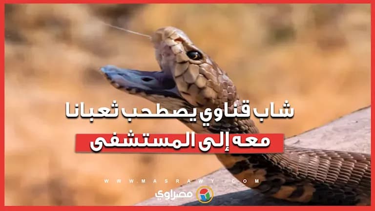 شاب بقنا يحمل ثعبانا لمستشفى