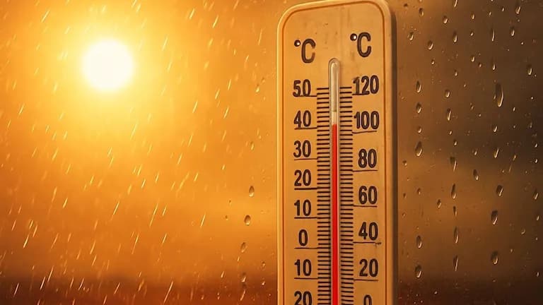 Saturday weather: fog, winds, warmer