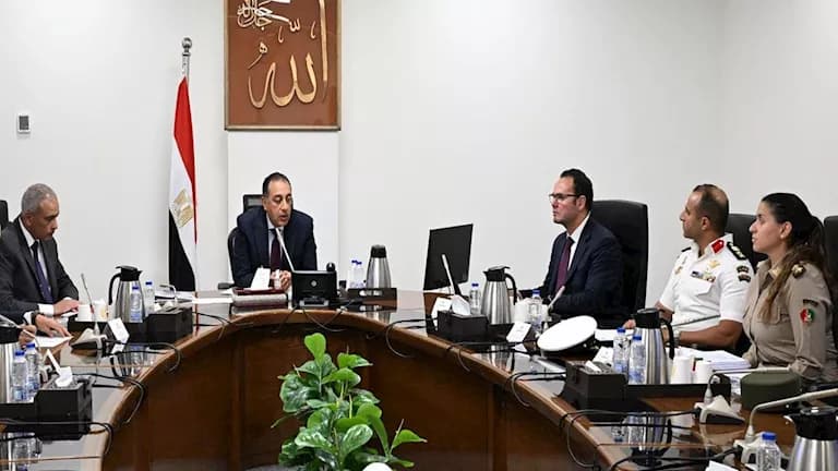 الحكومة تتصدى لظاهرة الكلاب الضالة