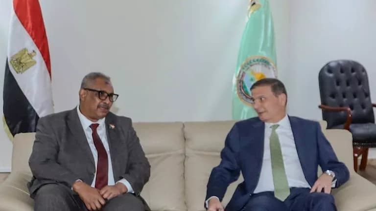 Egypt and Sudan form joint agricultural team