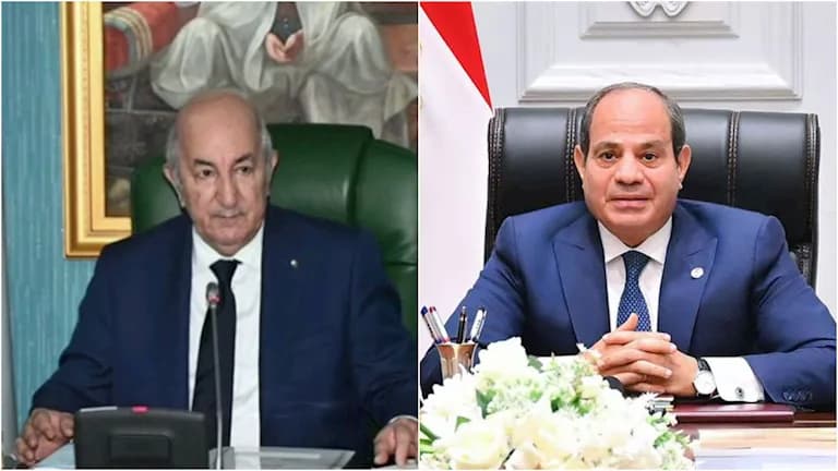 السيسي يعزي الجزائر في ضحايا الحرائق