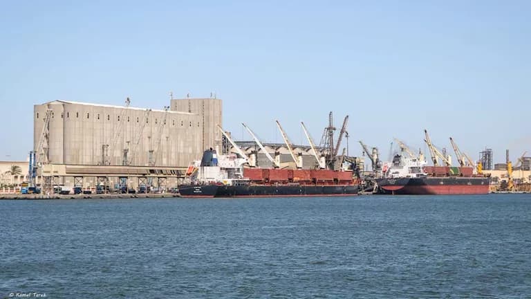 Damietta Port maintains steady vessel traffic