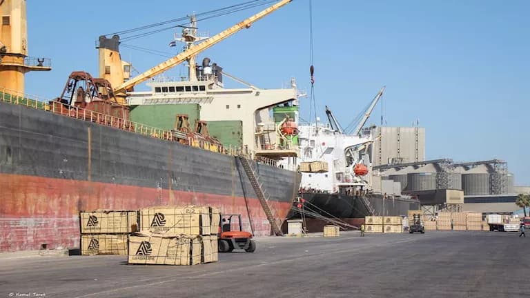 Damietta Port Seizes 8 Ships in 24 Hours