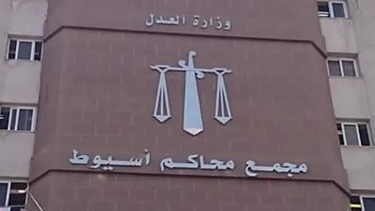 Assiut man gets 10-year sentence for weapons and drugs