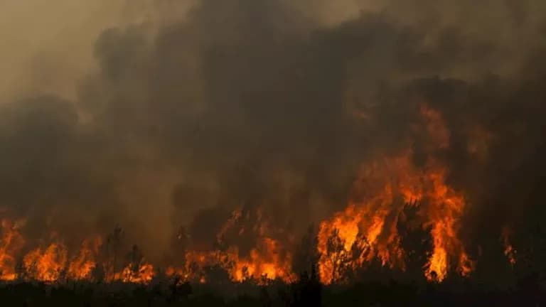 Greece: Israeli detained over forest fire