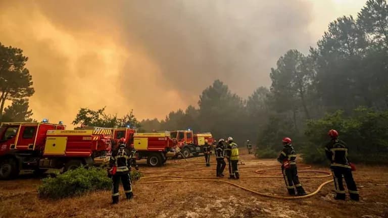 France Faces Wildfire Crisis with Arrests