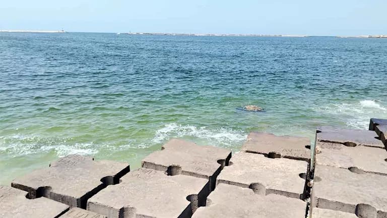 Young man drowns at Sability station