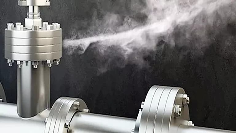Beni Suef Detention Center Gas Leak Alert