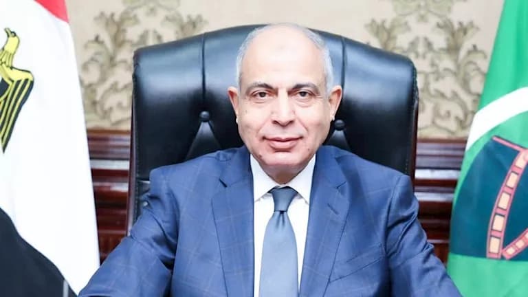 Minya Governor launches 100 Days of Health Campaign