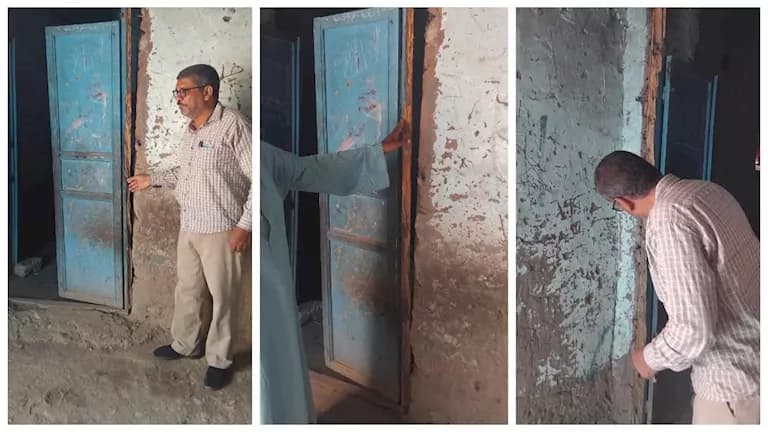 White ants damage Luxor homes