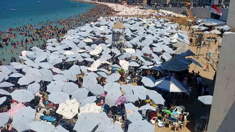 مخالفات المصيفين في شواطئ الإسكندرية