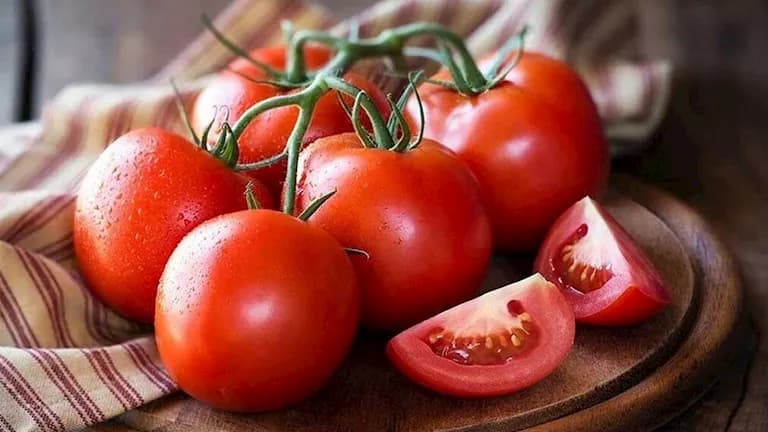 Imported tomato seeds surpass $121K in imports