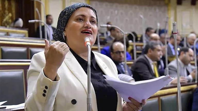 Parliament Clash in Asyut