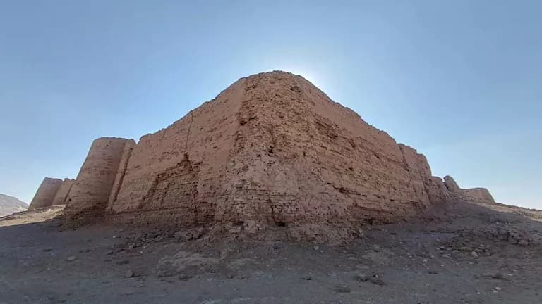 Dog mummies found in church site