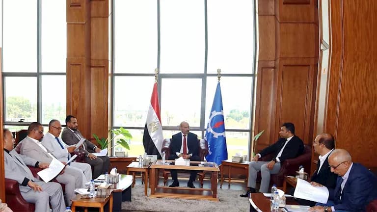 Suez Governor discusses public service upgrades