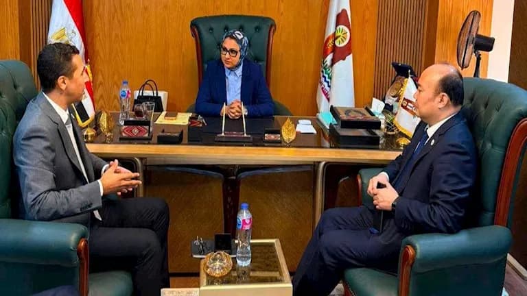 New Valley Governor reviews energy projects with Dongfang