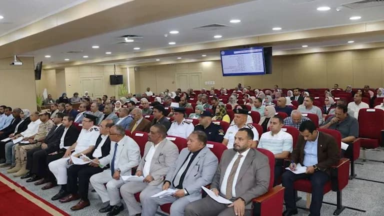 Port Said Gov: Bridge Link ataka District