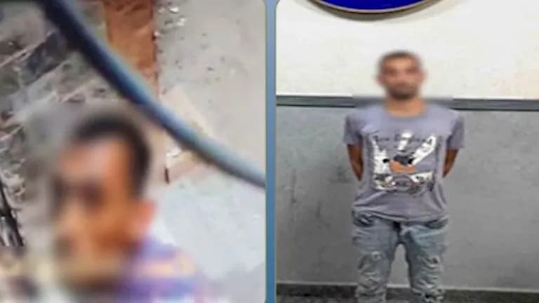 Suspect arrested for damaging cameras in Alexandria
