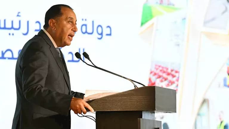 Loss of Egyptian citizenship for unauthorized dual nationality