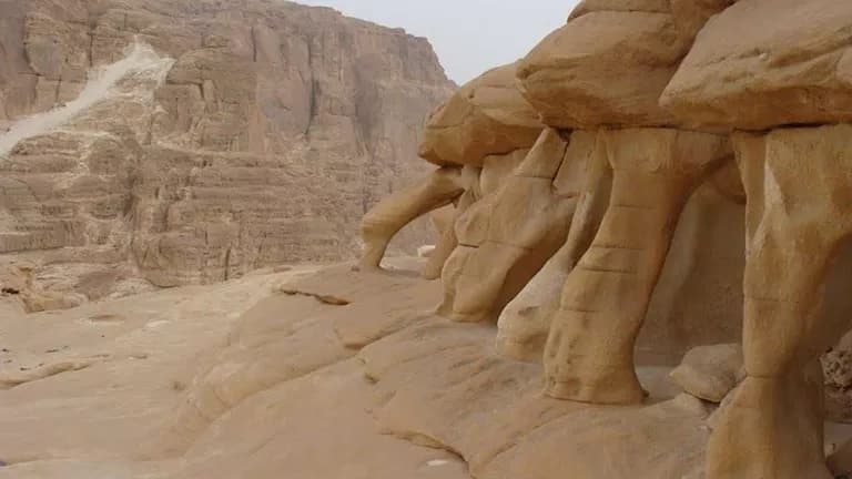 جمال الكانون الأبيض وجبال طابا