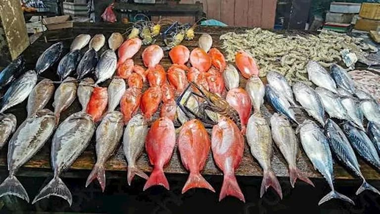 Souk Al-Obour Fish Prices Reach 73 pounds/kg