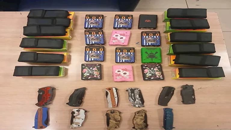 Cairo Airport Stops 3 Smuggling Attempts
