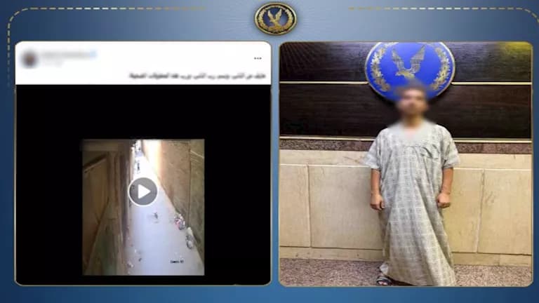 Employee captured on video assaulting small dog in Al-Barageel