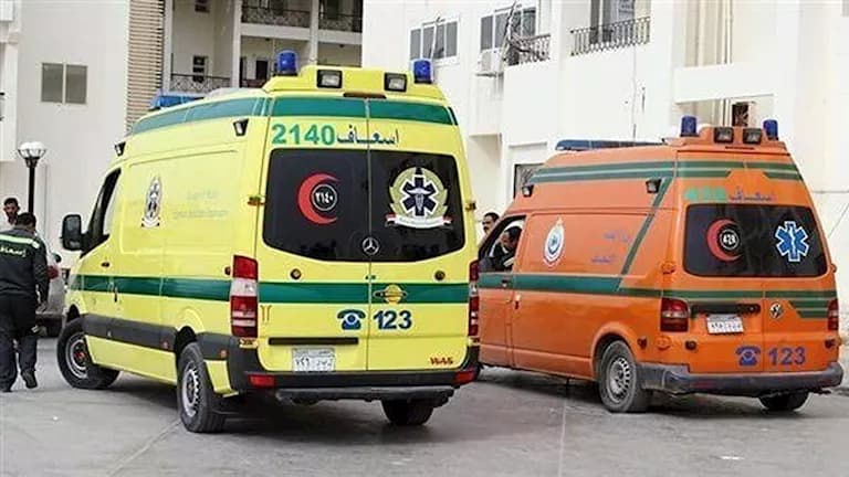 Four injured in Qalyub Cairo bus crash