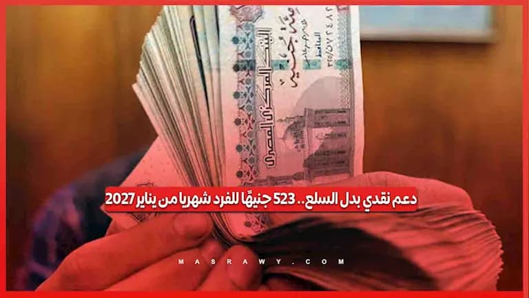 دعم نقدي بواقع 325 جنيه شهريا بداية 2027