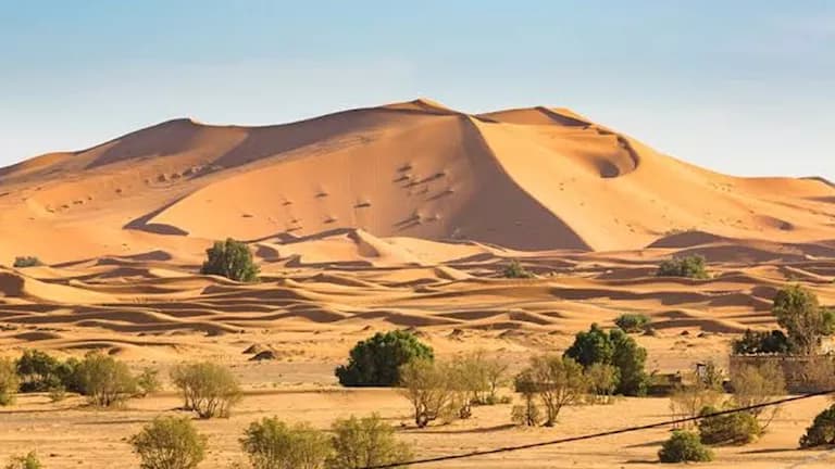 Egypt Presents Vision to Combat Desertification at UN