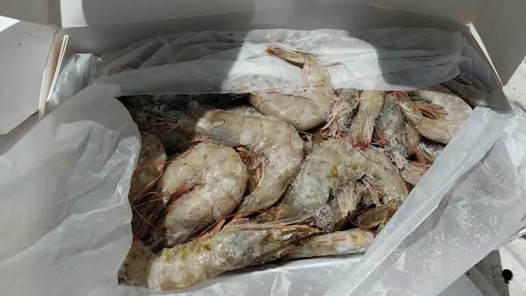 Omani shrimp seized at Port Said Market