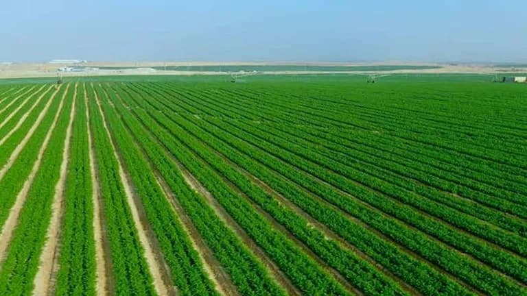 بلغت استصلاح الأراضي خلال 2024/2025 مساحته 204 ألف فدان