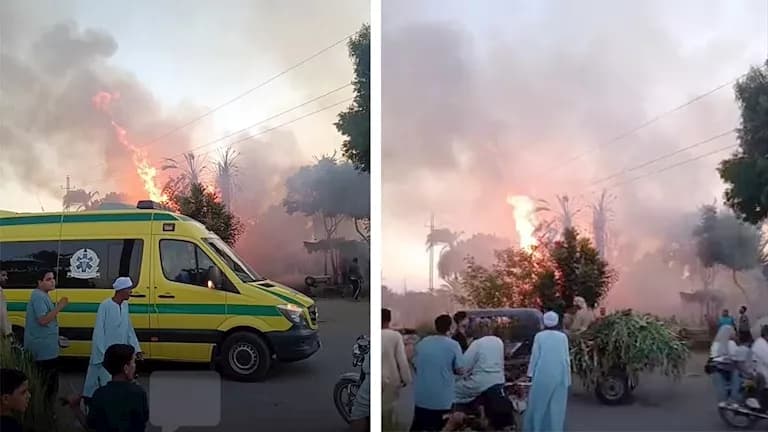 Fire burns palm trees in Armant Luxor