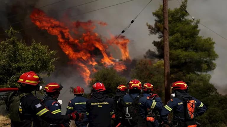 وفاة 12 بسبب حرائق الغابات في الجزائر