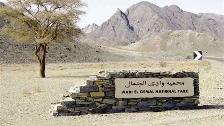 وادي الجمال في مرسى علم يكشف أسراره