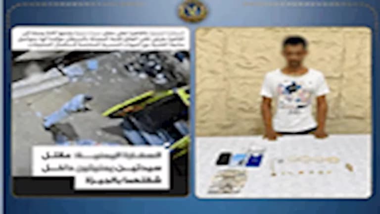 Interior Ministry solves Giza murders