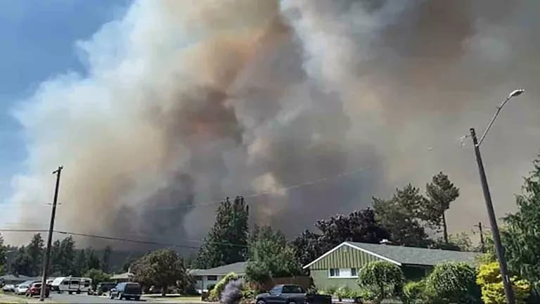 Washington fires damage over 600 sites
