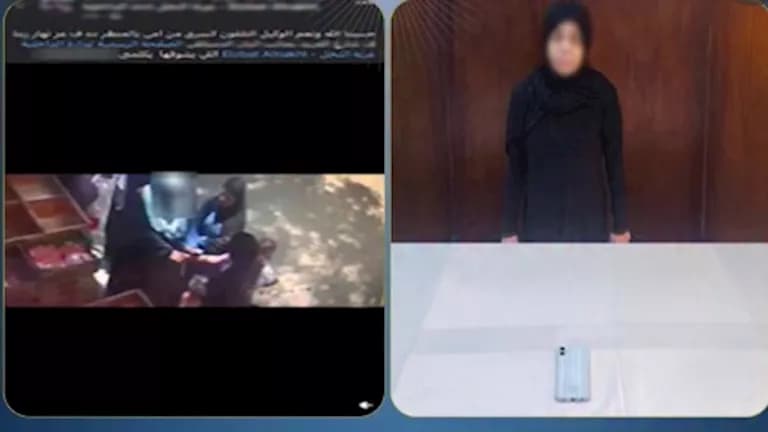 Criminal Steals Phone During Distraction in Ezbet El Nakhl
