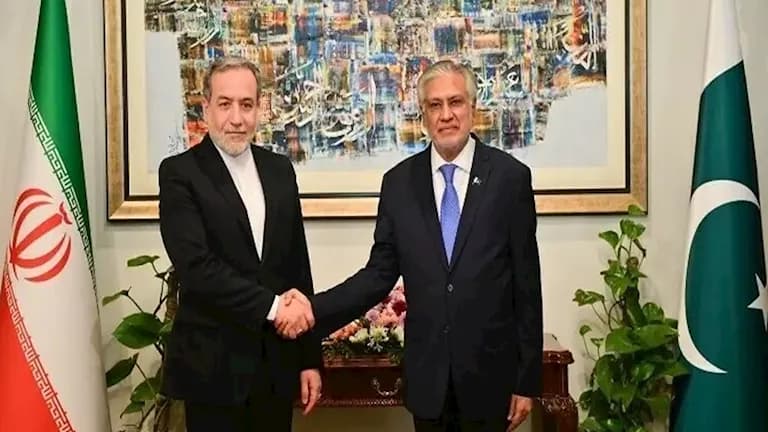 Pakistani FM affirms energy supply importance
