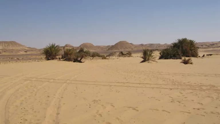 حكايات عن واحة زرزورة المفقودة