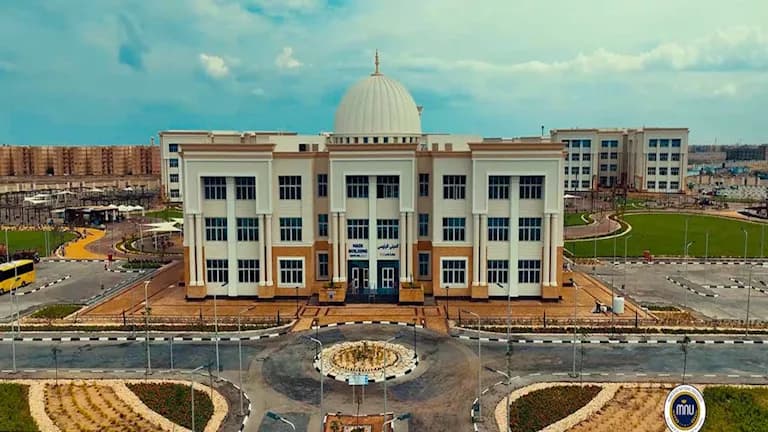 Mansoura University Scholarships 2026