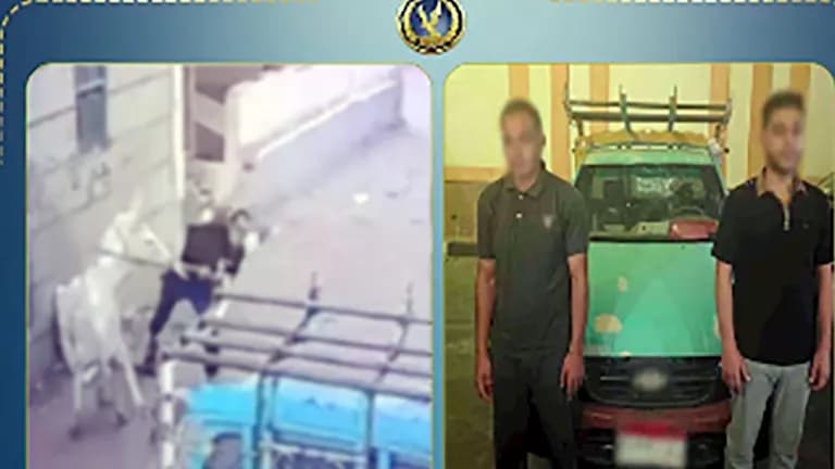 Interior Ministry investigates Dakahlia misconduct