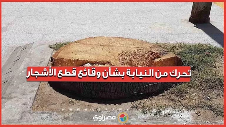 Public Prosecutor's Action on Tree Cutting