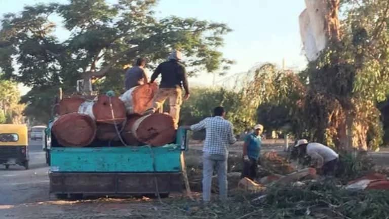 Water Minister Responds to Edfeina Tree Cutting