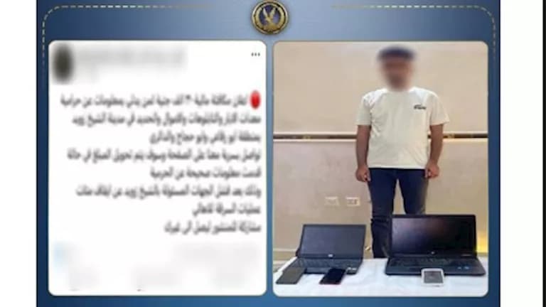 Reward Offered for Thief Tips